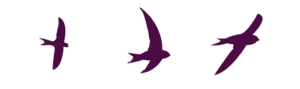 ES- Birds-02