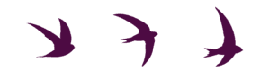 ES- Birds-03