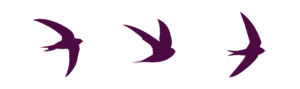 ES- Birds-04